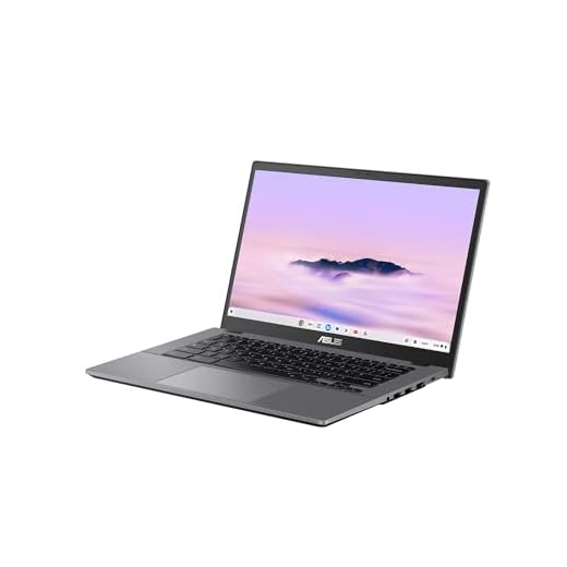 ASUS Chromebook Plus CX34 CX3402CBA-PQ0202 Intel Core i3-1215U 8GB RAM 256GB UFS 14 inch Full HD Chrome OS Laptop Grey