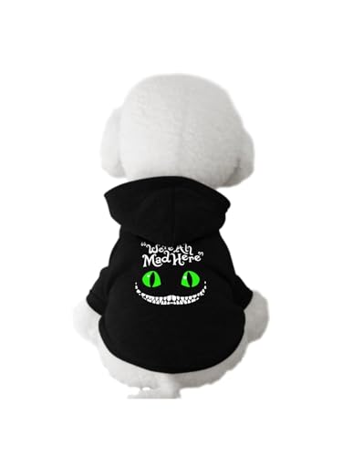 ybg svc̍̃AX `FVL  p[J[ hbOEFA  L _炩 ybgEFA H~p h [EFA o U ё΍ L