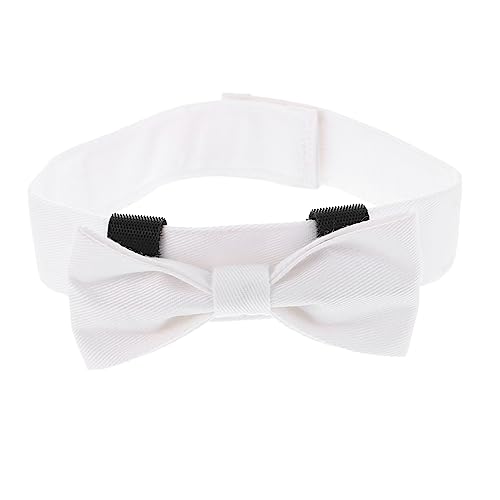 HOUDERCO ybg lN^C u[ X^C hM[ X[ p[eB[