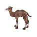 Premium Qualité Réaliste Petit Chameau Sauvage Zoo Modèle Animal Figurine Figure Enfants Jouet Cadeau Collectibles Durable et utile