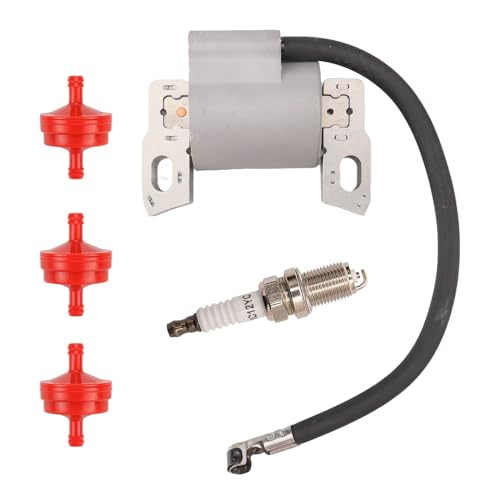 796500 595291 Ignition Coil with Spark Plug for 11P902 11P912 111P02 112P02 114P02 121Q02 121Q42 121Q72 121R02 121S02 121S07 121S12 121S17 122Q02 122Q42 122Q72 by Mliong - Used condition - US$14.25