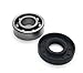 REPLACEMENTKITS.COM Brand Input Shaft Seal & Bearing Kit Fits Hydro Gear Hydrostatic Transmissions Replaces 9008000-0128 & 2003043