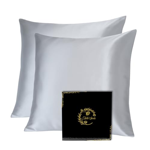 Ade’Soie Idée Coffret Cadeau Noel Lot de 2 Taies d’Oreiller 65×65 cm en Soie de Mûrier 100% Grade 6A 22 Momme Certifiée Oeko-TEX® | Anti-frisottis & Anti-âge | Fermeture Zip – Gris Perle