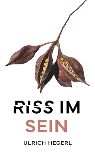 Riss im Sein: Ein aufwühlender Gesellschaftsroman über Macht, Liebe, Wissenschaft und Glauben in einer aus den Fugen geratenden Welt
