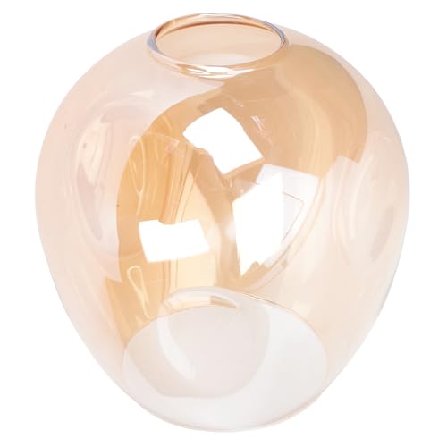BIUDECO Paralume in Vetro Trasparente Accessorio per Lampada da Tavolo e Piantana Design Semplice e Fresco per Uso Domestico e Ufficio