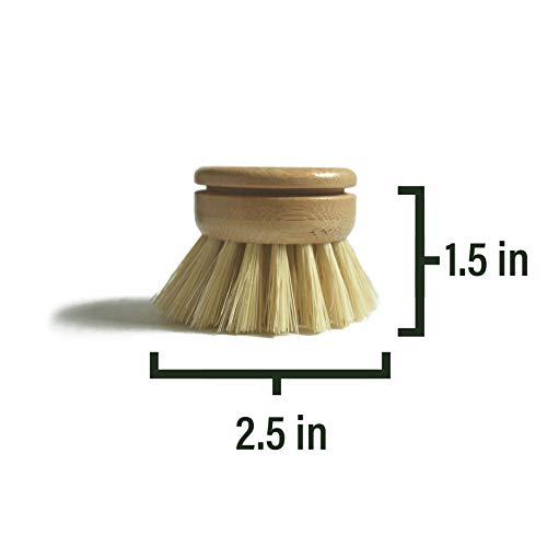 Image of 6 pcs Wooden Dish Brush Replacement Heads Made of Renewable Bamboo Wood and Natural Bristle Fiber, Durable, Long Lasting (Tampico Fiber)