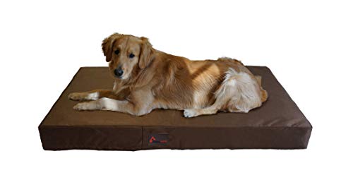 PetBed4Less Deluxe Orthopedic Memory Foam Dog Bed Pet Pad with Chew Resistant NOT chew-Proof and Removable Zipper Cover + Free Waterproof Dog Bed Liner [Replacement Zipper Covers Available]
