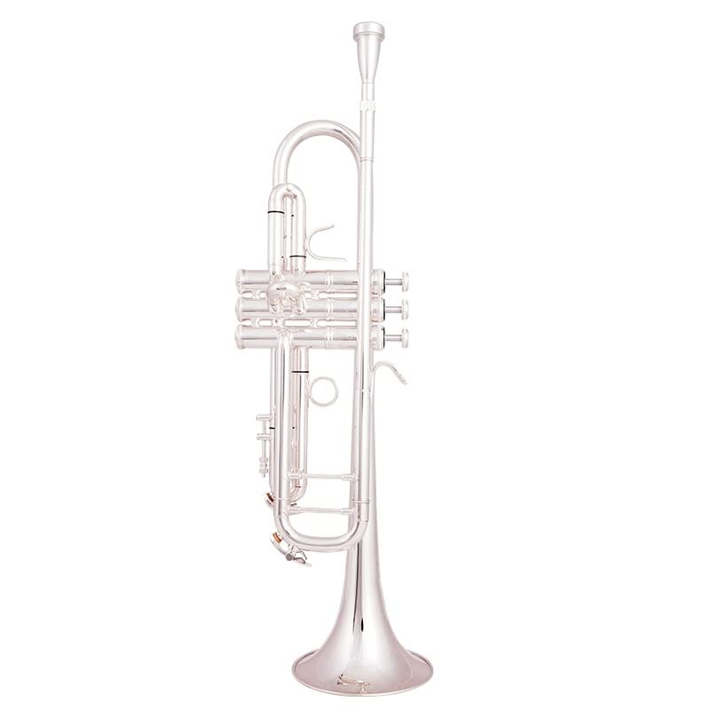 początkujących trąbka Posrebrzana Trąbka Bb Mosiężne Trąbki Muzyczne Instrumenty Dęte Blaszane Trąbka Bb Z Ustnikiem Etui Na Rękawiczki Trąbka (Color : 02)