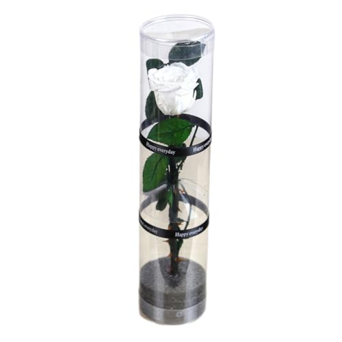 VUIUYOIES Flor Eterna Romántica Elegante Símbolo De Amor Sin Mantenimiento Rosas Individuales Reales Estabilizadas Mezcladas Y Conservadas, Blanco