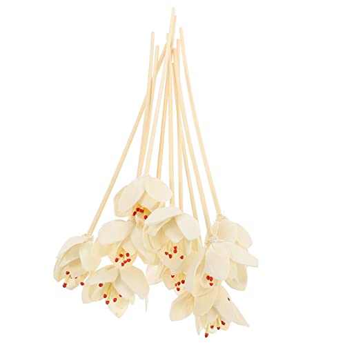 Garneck 10 piezas palitos difusores de aroma para ambiente