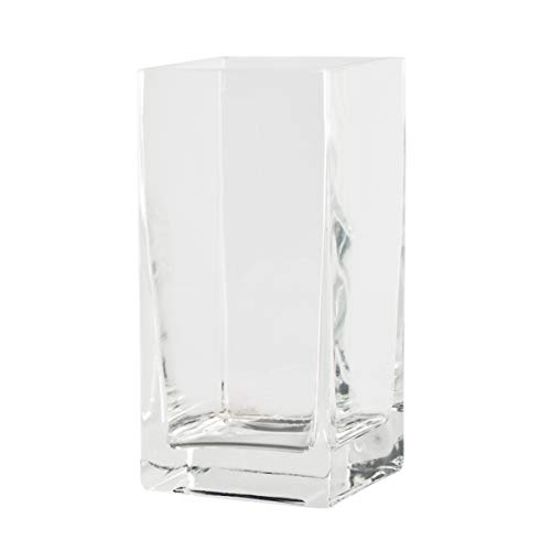 Varia Living Glas Quadrat Ferro Dekoglas in Form eines Würfels | Kastenvase als Übertopf für Orchideen | Cube Windlicht oder mit Teelichthalter | eckige Blumenvase