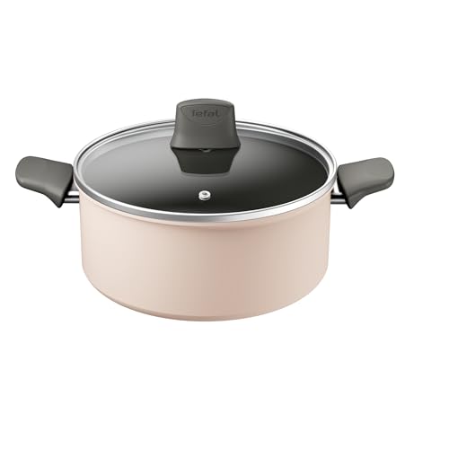 Tefal Revive Ceramic Induction Non-Stick Stewpot + Lid 24cm