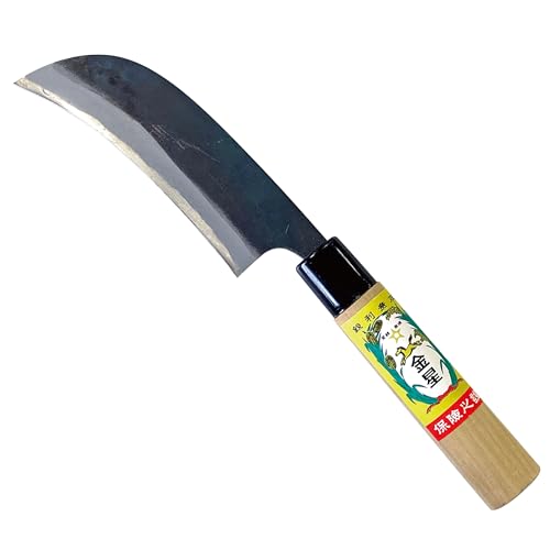 (Kinboshi)Rؕ105mm nbݍ| 1876