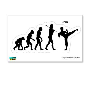 GRAPHICS & MORE Evolution Chart - Martial Arts - Karate - Judo - Taekwondo - Window Bumper Locker Sticker