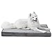 EHEYCIGA wasserdicht orthopädisches hundebett mittelgroße Hunde XL hundekissen waschbar, 104x68x7cm, Grau, Wasserproof Dog Bed Dicke Füllung eierförmig