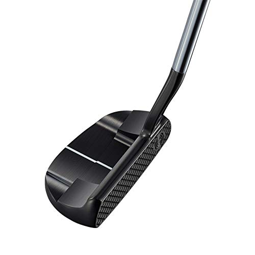 オデッセイ トゥーロン 2019 PALM BEACH パームビーチ (フローネック) パター 日本正規品 34inc 1枚目