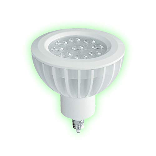 r[ebNiBeamtecj LEDd E11 100W  nQ X|bgCg 14W 1150lm Ή zp:20x F LS7911YDS