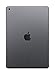 Apple iPad (10.2-Inch, Wi-Fi, 32GB) - Space Gray (Renewed)