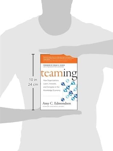Teaming: How Organizations Learn, Innovate, and Compete in the Knowledge Economy - Image 4