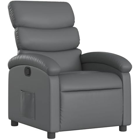 Fauteuil Inclinable vidaXL Cover