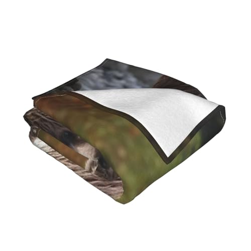 Couverture microfibre ours marron flanelle légère 127x101 cm