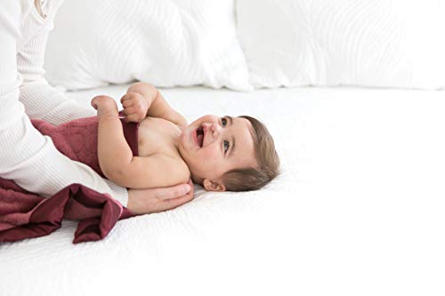 Image of SwaddleDesigns Stroller Blanket, Earthtone Puff Circles, Truffle