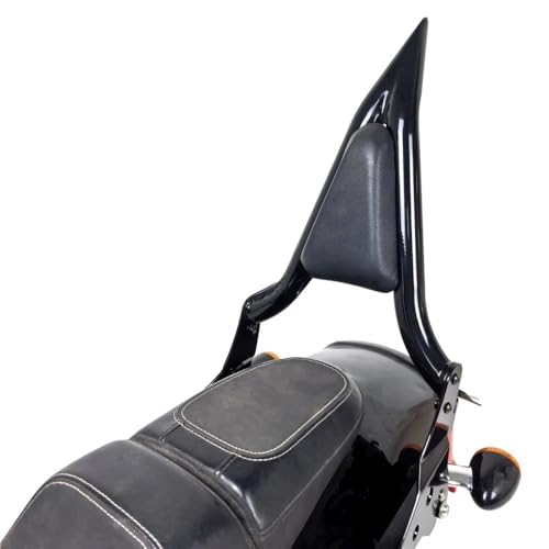 Dossier moto appui-dos de passager custom pour Dyna Fat Bob FXFBS FXFB - 3