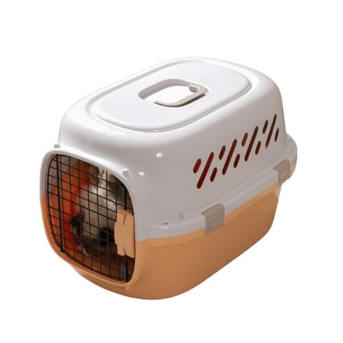 Sailozai ybg Vt {GC ۍq ֌g ԍڃP[W s@a  Lqp{bNX (qyCG[z,卆+Au+q|)