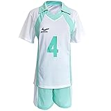 TWSTIV Aoba Johsai High School Cosplay Volleyball Jersey Shirt Shorts Costume Uniform (NO.4 Iwaizumi Hajime, L)
