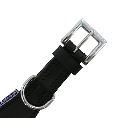 Ancol Windhund Halsband gepolstert Leder, 47 cm, schwarz