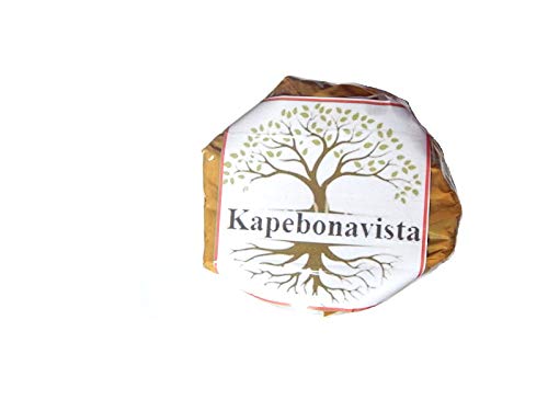 Kapebonavista® Rudraksh Plant Rudraki Bhutanashana Pavana Rudraksah Shivaksha Shivapriya Utrasum Bead Tree Elaeocarpus sphaericus Plant 1 Month Old Plant in Poly Bag.