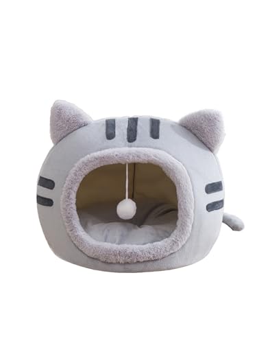 REYLNXR L h[ ˂  ybgnEX h[^ cat bed Q lR^Lxbh Lp {An + PP  gӂӂ hۉ p ~p ybgQ܁iO[^M TCYj
