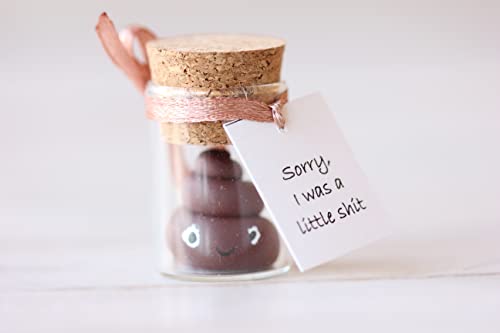 Apology gift Personalized Poop Emoji gift Guarantine gift Wish jar Funny crap gift...