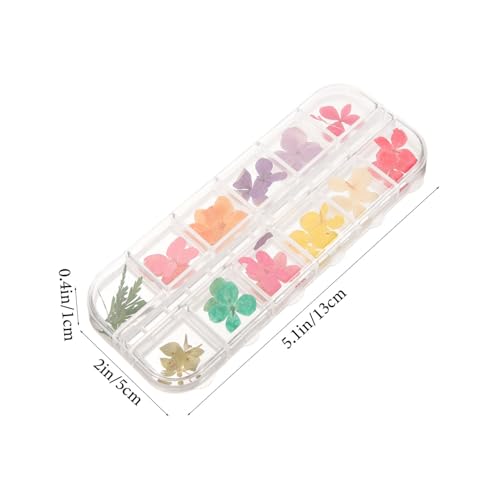 Kit de accesorios con flores secas para manualidades miniatura 2
