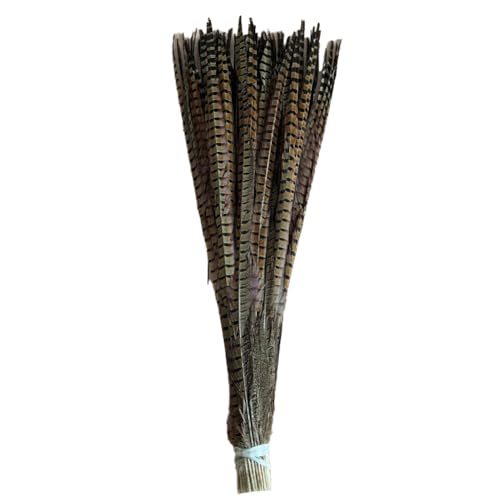 CHUYIX Robinet à plumes de queue - 1 pièce - 30 à 35 cm - Plumes naturelles de faisan - Longues plumes de coq - Pour bricolage, attrape-rêves, carnaval,...
