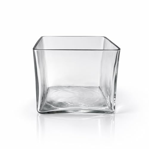 Image of KALAKRITI 5 Inch Clear Square Glass Flower Vase | Modern Cube Decorative Vase for Fresh, Artificial Flowers & Floral Arrangements | Table Centerpiece for Home, Office, Hotel & Restaurant (Pack of 1)