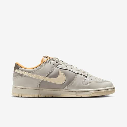 Nike Dunk Low Retro Men's Shoes (IB4503-072, Light Bone/College Grey/Cave Stone/Coconut Milk)3