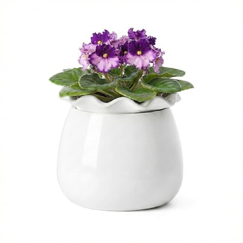 Self Watering Plant Pot, 6 Inch African Violet Pots Maintenance, Ceramic Self-Watering Planter for Indoor Plants - Ideal Flower Pot for Thriving Indoor Gardens, White