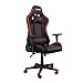 RACING BERGNER | Silla Gaming Dragon Edition | 57 x 71 x 135-145 cm | Silla Ergonómica con Almohada Cervical y Reposabrazos | Silla de Escritorio Reclinable | Color Rojo y Negro | Máx 120 kg