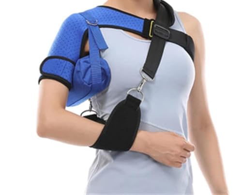  T|[^[ یA[XO֐ߒEPŒxgr܍ (u[)