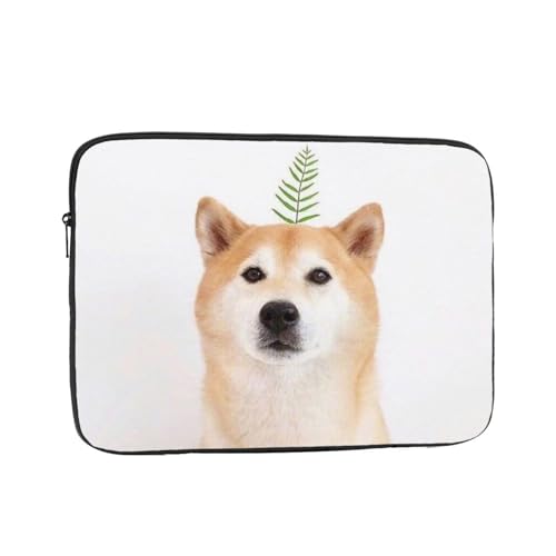 m[gp\RP[X Č   Aj 13 C` 360°یpcP[X ϏՌp\R[ p\RobO ^ h y Vv ʋ ʊw rWlX jp lC v[g