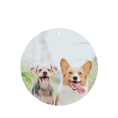 Funny Dog ԗpF p[\iCYꂽXCX J[A}Zs[^ubg ݂艺F܃J[h [vt 4 ԂƂ̑p