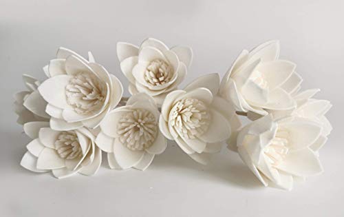 10 Lily 2" Sola Flower Reed Diffuser for Home Fragrance by Plawanature.