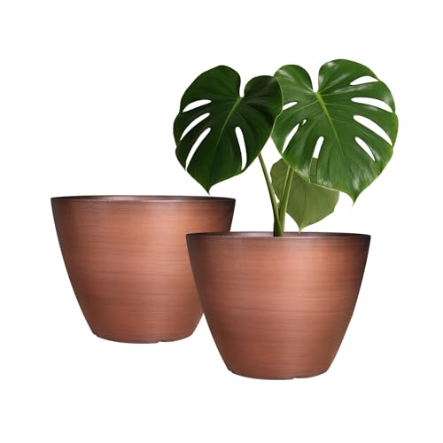Comparison: Best Pot For Aloe 8 Vanslogreen 2 Pack Plastic Plant Pots with Drainage Holes, 8 inch Planter for Indoor Outdoor Plant, Garden Flower Pots for Aloe, Herbs, Cactus (Brushed Copper, 2pcs)