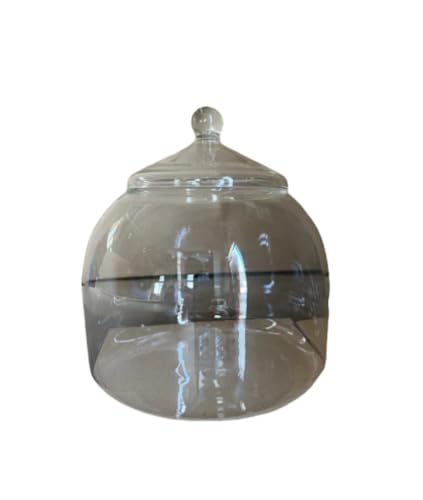 Smedic マイクロランドスケープ エコボトル 魚缸器皿 装飾品 ドウユウボトル 水耕栽培 鉢水耕植物 ガラス製照明付き 苔花 造園用照明台式水槽 軟木 (スペースボトル+ガラス蓋)