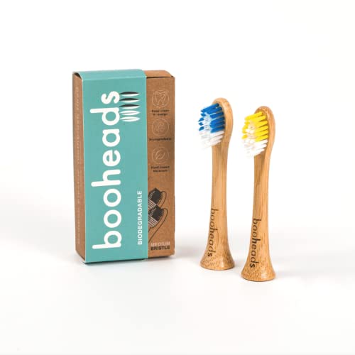 Best Ordo Toothbrush Heads in 2022 What You Need To Know Before You Buy Today Review Now