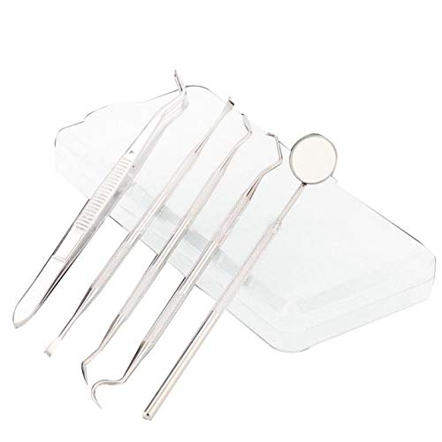 Generic 5Pcs/Set Dental Clean Tools Kit Stainless Steel Tartar Scraper