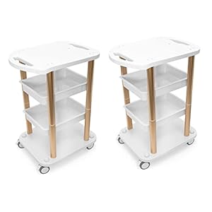 Elitzia Facial Trolley 2 Piece Per Set 4 Shelf ABS Aluminum Golden Frame Beauty Salon SPA Organizer Trolley Styling Pedestal Rolling Cart 80 Pounds Weigh Capacity ETTROLLEY5 (2pcs Gold cart)