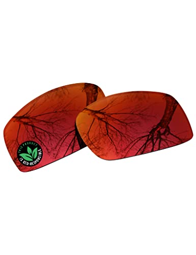 Image of Raydi Polycarbonate Replacement Lenses for Wiley X Valor Sunglass