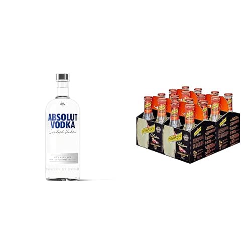 Absolut 1i + Schweppes Selection Ginger Beer cl 6 total 24 cl